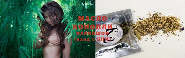 шишки Инта