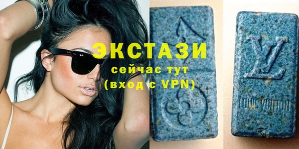 шишки Инта