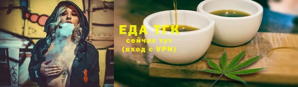 шишки Инта