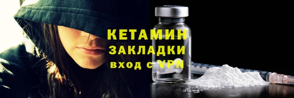 шишки Инта