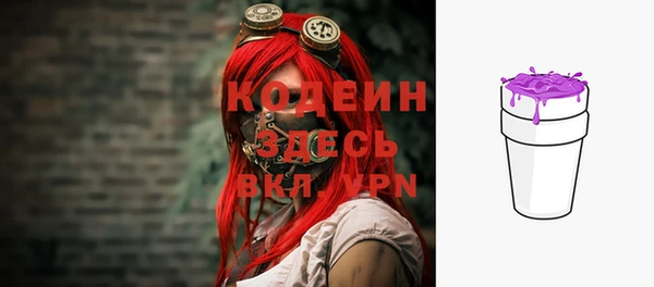шишки Инта