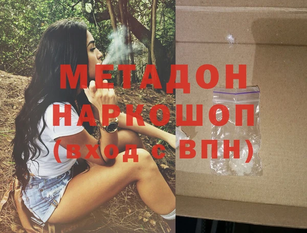 шишки Инта