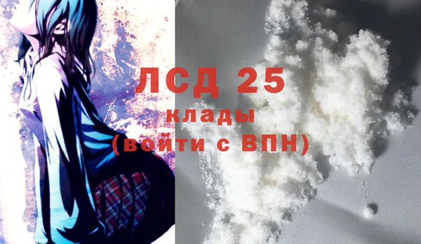 шишки Инта