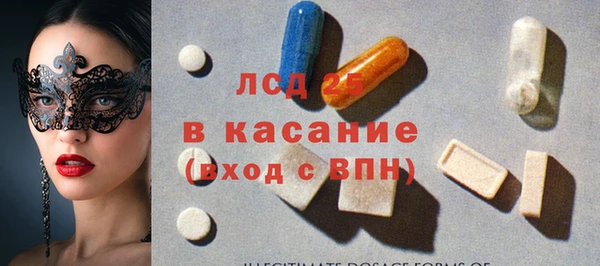 шишки Инта