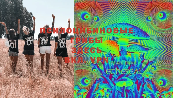 шишки Инта