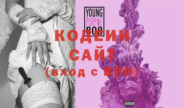 шишки Инта