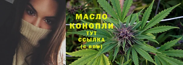 шишки Инта