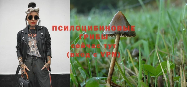 эйфоретик Иннополис
